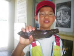 姫路市立遊漁センターのキッズ釣果　探り釣り…