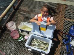 尼崎市立魚つり公園　夏休み子供サビキつり大…