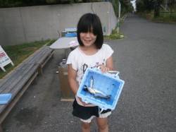 大阪南港魚つり園　サビキでアジ・サバ・サッ…