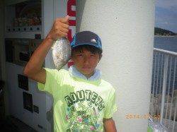 姫路市立遊漁センター お子様が良型アコウをゲット!