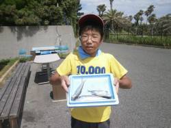 大阪南港魚つり園キッズのサビキ釣果〜サッパ…