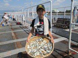 アジにサバがイイ感じ！尼崎市立魚つり公園でサビキ釣り