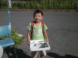 南港海釣り公園　サビキでアジ・サバ・サッパの釣果です