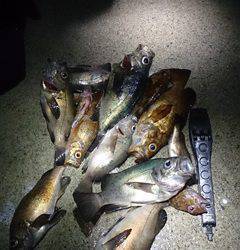 キスゲームはデートにもオススメです【karakuri氏　連載記事】