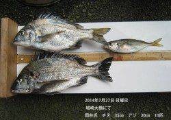 城崎大橋にてナイスサイズのチヌ・アジ