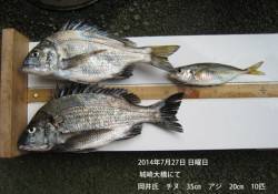 城崎大橋にてナイスサイズのチヌ・アジ