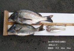 【4日】津居山にてチヌ49cm他