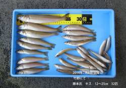 竹野でのキス釣り釣果　〜32匹〜