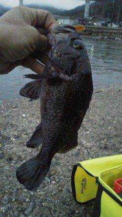 余部　ワームに黒ソイがヒット