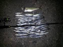 和歌山マリーナシティ　台風前のカマッシング…