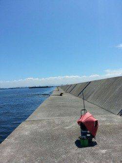 武庫川尻一文字　朝一の渡船でタコ数釣り☆