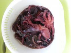 武庫川尻一文字　朝一の渡船でタコ数釣り☆