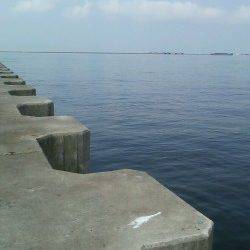 鳴尾浜でタコ釣り　最初の一投目できましたが・・・