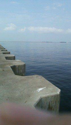 鳴尾浜でタコ釣り　最初の一投目できましたが・・・