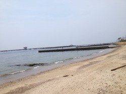 須磨海岸で投げ釣り　23.5cmの大キスも！