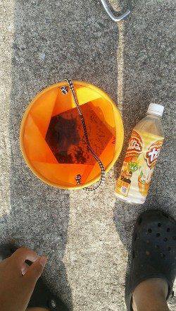 西宮浜　オクトパッシングでタコ狙いも1パイの釣果