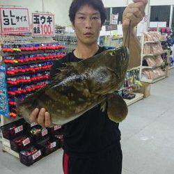 すさみ波止でのズボ釣りで大物クエ！！