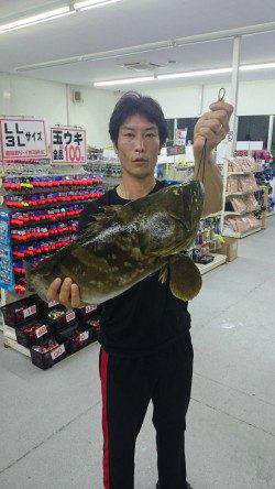 すさみ波止でのズボ釣りで大物クエ！！