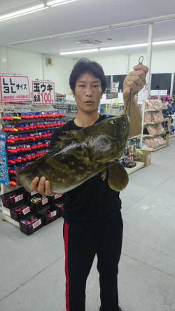 すさみ波止でのズボ釣りで大物クエ！！
