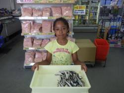 田辺新芳養（はや）堤防でのお子様イワシ釣果…