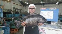 田辺市天神崎でイシダイ上がりました！！！53.5ｃｍ！！