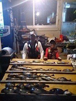 ウ島でイサギ大漁！渡船を利用しての釣果