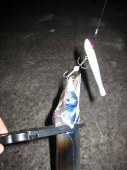 生穂　メーカー主催大会に参加　ワインドでタ…