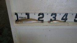 23.5cmのキスGET！堺堤防で投げ釣り釣果