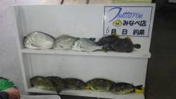 みなべ森の鼻でフカセ釣り〜ヘダイ・アイゴ・…