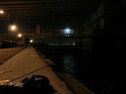 舞洲周辺でアジング〜沖目の潮流切れ目で中アジがヒット