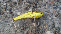 高砂埋立地周辺、潮目へキャストでボトムからの巻き上げにシーバス63cm！