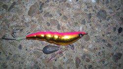 貝塚にてタコ狙いに出陣!! 試行錯誤を繰り返し2ハイGET