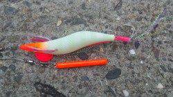 マイブームのタコ調査で貝塚出陣!!　爆風でしたがタコ釣りには問題ナシ