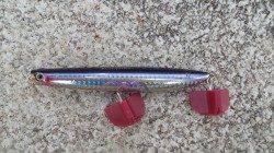 人生初の煙樹ヶ浜へ出陣!!　シオをゲットできました