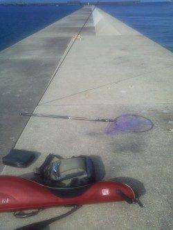 御坊のケーソンでヤイトハタ41cm！