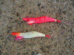 貝塚タコ高活性〜気軽にできて食べて美味しい♪ お薦めです！