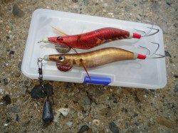 貝塚タコゲー今日も行ってきました！ 岸際で好反応