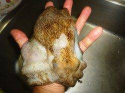 貝塚タコゲーム　1時間半で3杯GET！