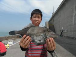 和歌山北港魚つり公園　ウマヅラハギ３４㎝！…