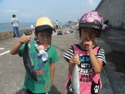 北港魚つり公園　ソーダガツオ・サバの回遊あ…