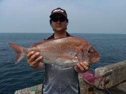 北港釣り公園　カゴ釣りでマダイ＆チヌの釣果…