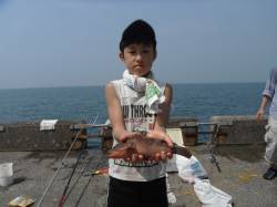 和歌山北港魚つり公園でアコウ28cmをキャ…