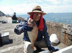 【30日】北港魚つり公園でマダイ42cm