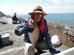 【30日】北港魚つり公園でマダイ42cm