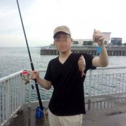 大蔵海岸にてサビキ釣り〜豆アジ・マイワシ・チャリコ