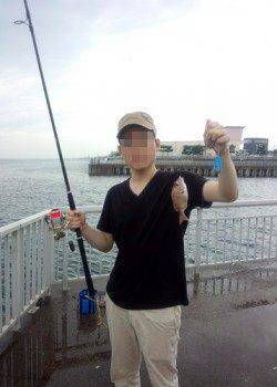 大蔵海岸にてサビキ釣り〜豆アジ・マイワシ・チャリコ