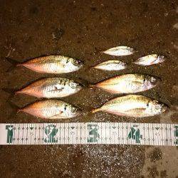 舞洲周辺アジング〜潮が動き出してからボトムでアタリました