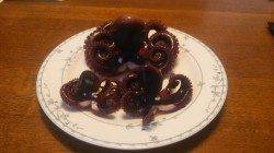 そろそろタコシーズン！　早朝雨の前に舞洲周辺調査してきました