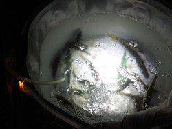 加太漁港　夜のサビキ釣りでアジ＆サバの釣果
