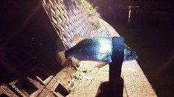 久美浜でセイゴ入れ食い。アジはボトム近辺で釣れました。